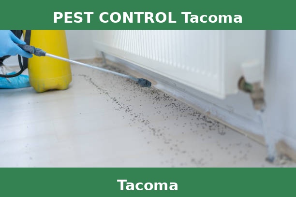 PEST CONTROL Tacoma